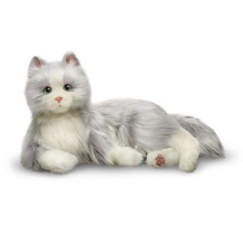 Robotic Pets