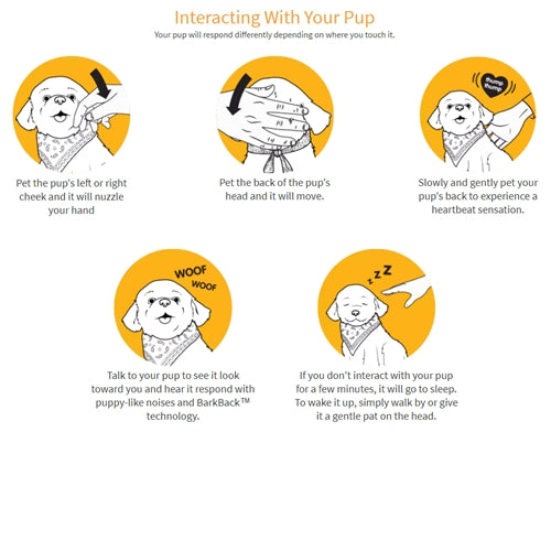 Robotic Pets