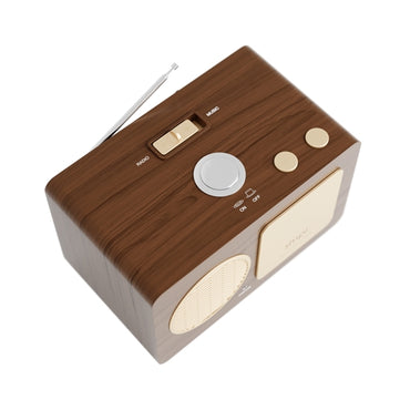 Therapeutic Music & Radio Player for Dementia Care