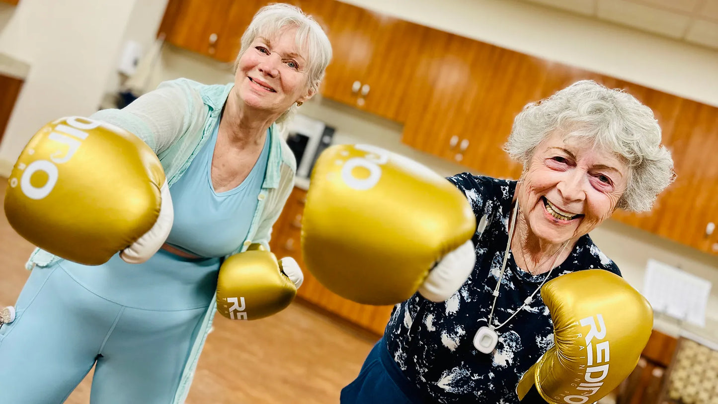 Seated Boxing Training