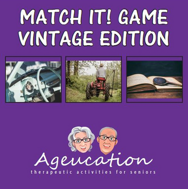 'Match It! Game Vintage Edition' by Ageucation