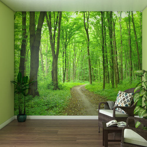 Memory Care Conversation Murals