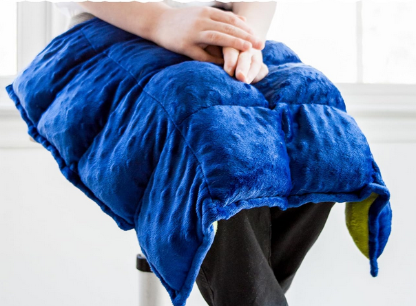 Plush Sensory Weighted Lap Pad 5lbs