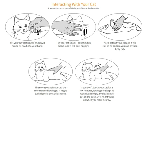 Robotic Pets