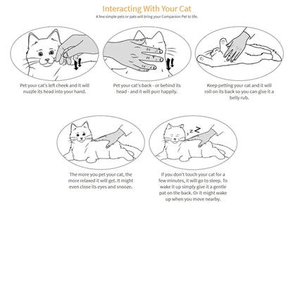 Robotic Pets