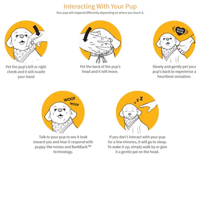 Robotic Pets
