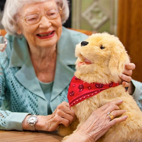 Robotic Pets