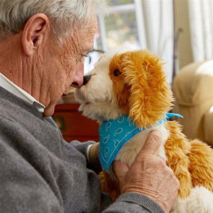 Robotic Pets