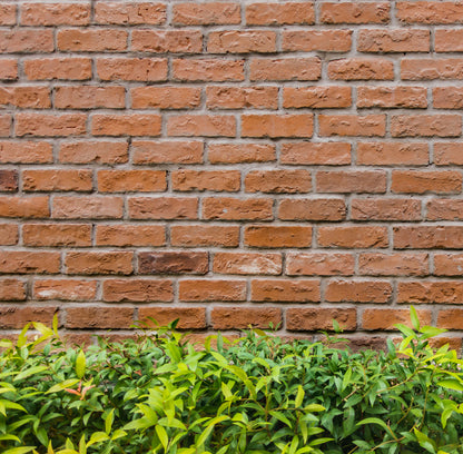 Camouflage Door Murals Single/Double Door