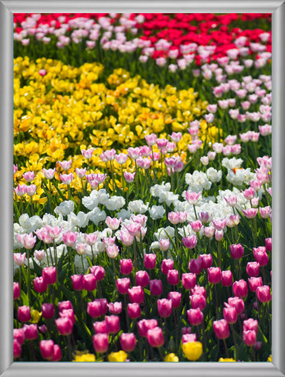 Revolving Hallways Scenes