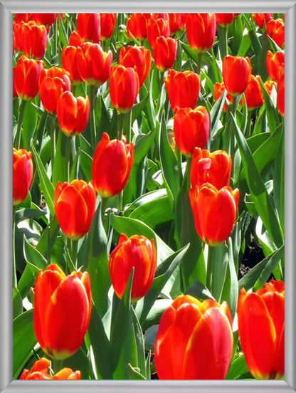 Revolving Hallways Scenes