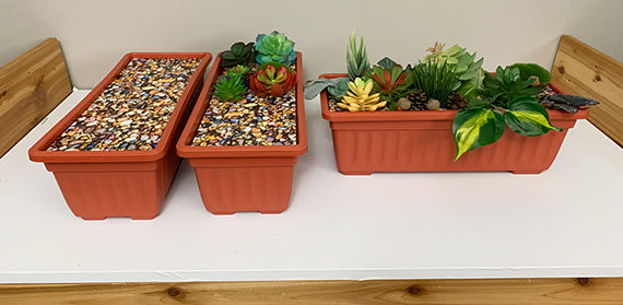 Magnetic Plant Arrangement Activity Kit