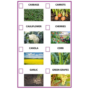 Harvest It Game