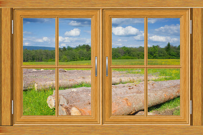Faux Rustic Windows