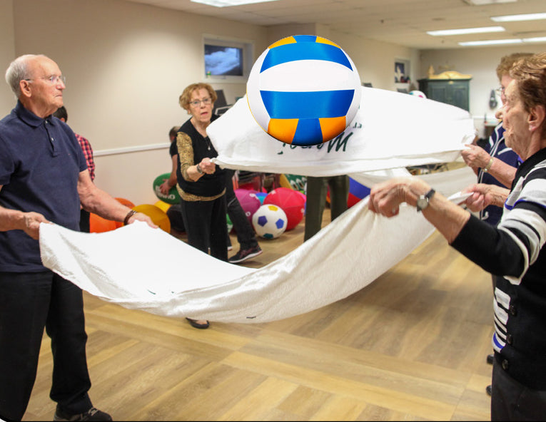 AGEucation Activity Ball Package – Group Movement Game for Seniors