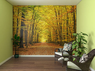 Memory Care Conversation Murals