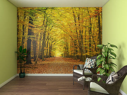 Memory Care Conversation Murals