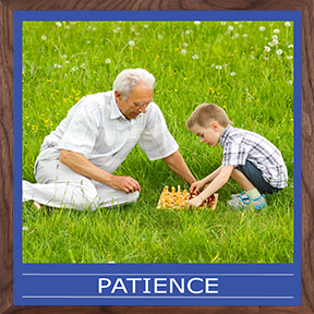 Everyday Scenes Wall Panels