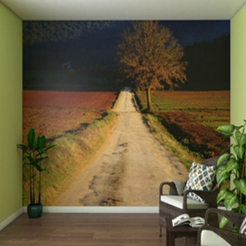 Memory Care Conversation Murals