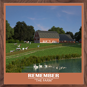 Awaken A Memory Wall Graphics