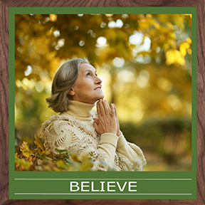 Everyday Scenes Wall Panels