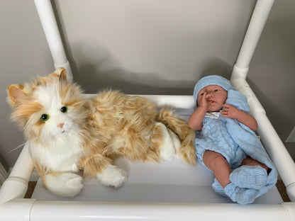 Responsive Behavior Support Cart