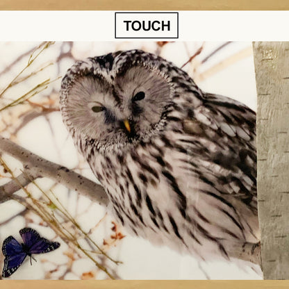 Tactile Nature Wall Panels