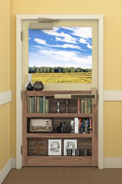 Window with Bookcase View A - Full Door Mural