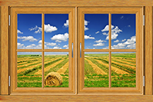 Dementia Activity Boards - Interactive Flower Wall Design Kit