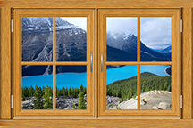 Dementia Activity Boards - Interactive Flower Wall Design Kit